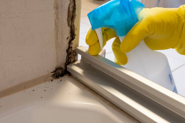 Coalgate, OK Mold Removal Company