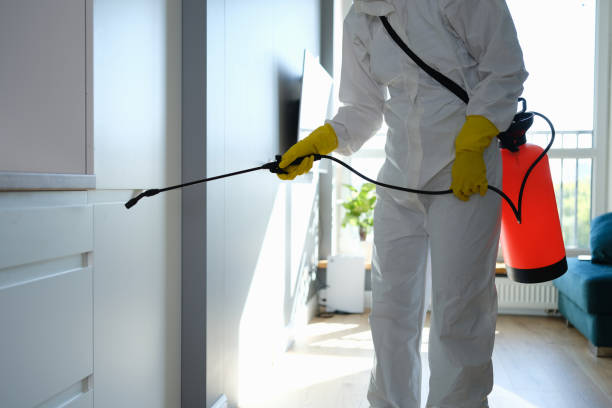 Best Same-Day Mold Removal  in Coalgate, OK