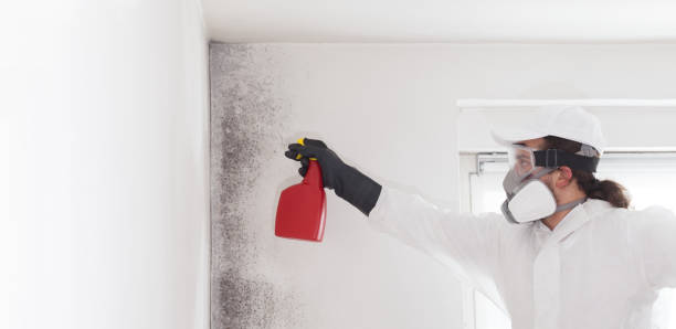 Certified Mold Removal in Coalgate, OK