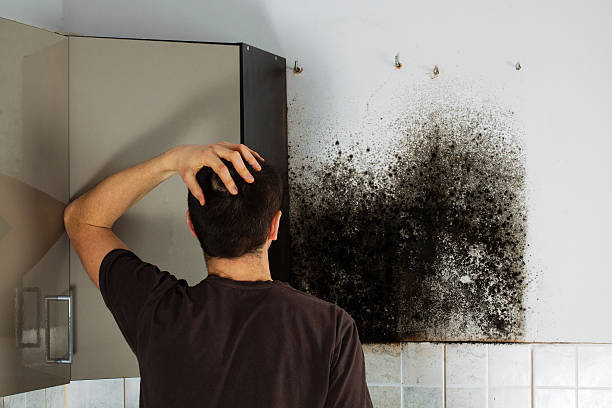 Best Black Mold Removal  in Coalgate, OK